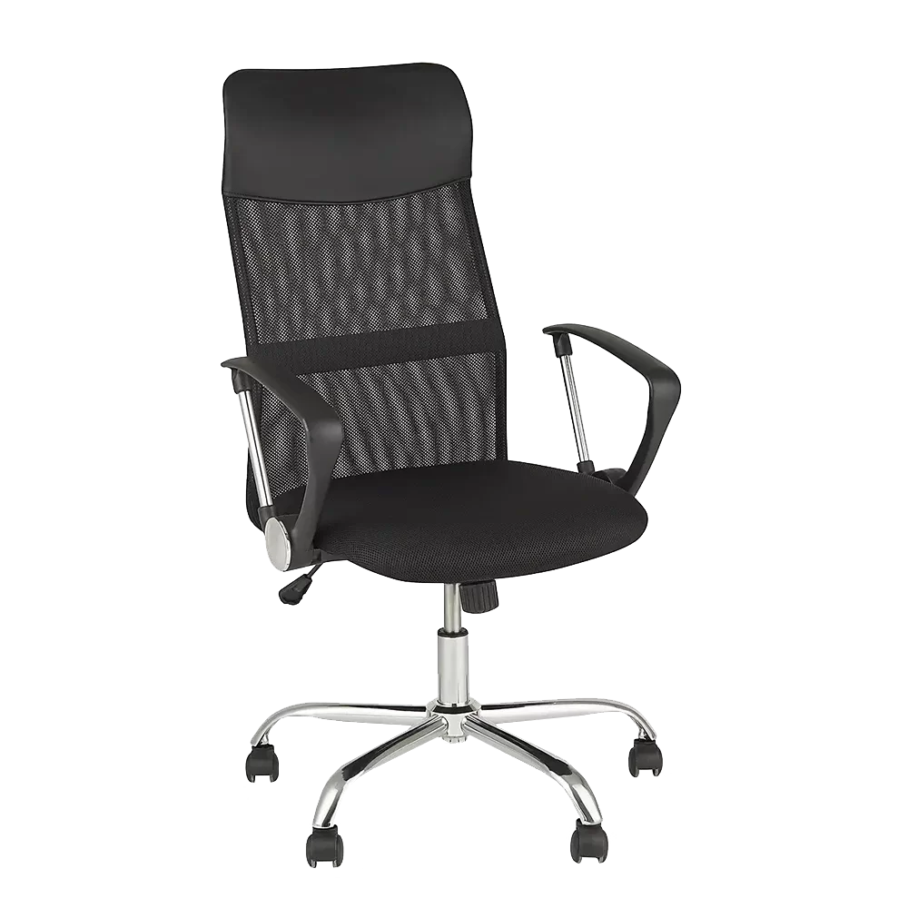 Scaun de birou 2HOME ergo, Negru